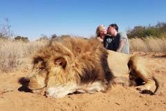 kiss over dead lion