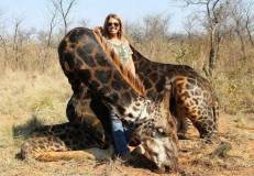 Tess-Thompson-Talley-dead-giraffe
