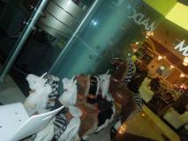 302817 10151530254993362 605799940 n